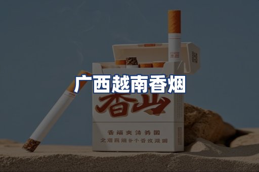 广西越南香烟